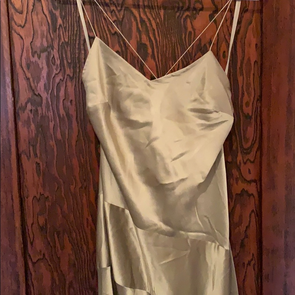 Express satiny dress.